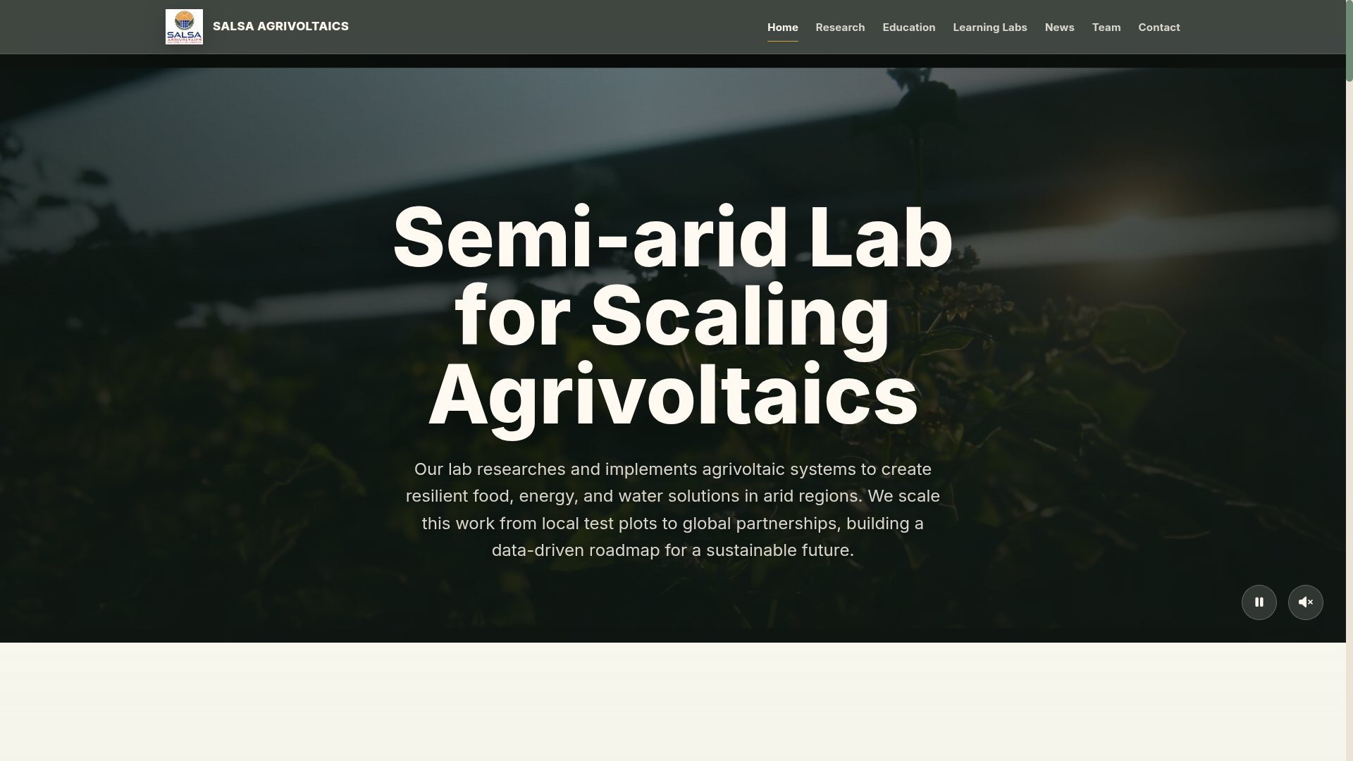 SALSAV Agrivoltaics website